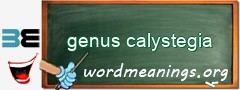 WordMeaning blackboard for genus calystegia